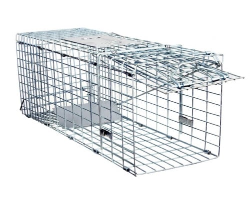 مصيدة حديدية للقطط (صغيرة)