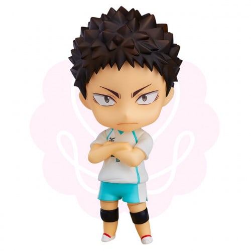 Haikyuu Iwaizumi Hajime Nendoroid