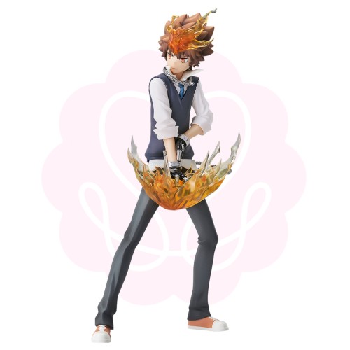 Katekyou Hitman REBORN Sawada Tsunayoshi Pop Up Pa...