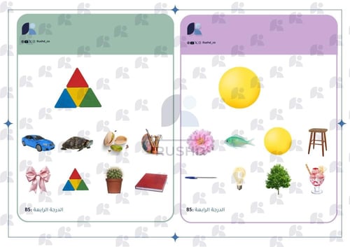 بطاقات التدريب: الصور المتماثلة B5
