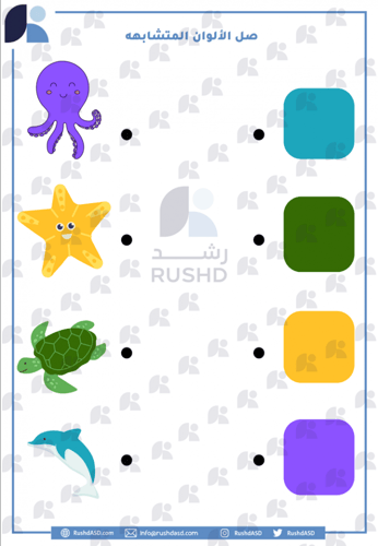 وسيلة توصيل ومطابقة الألوان