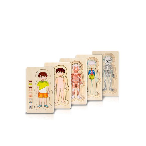 لعبة تركيب تعليمية خشبية هيكل الجسم 230