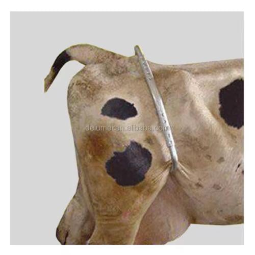 عصا منع الركل للأبقار