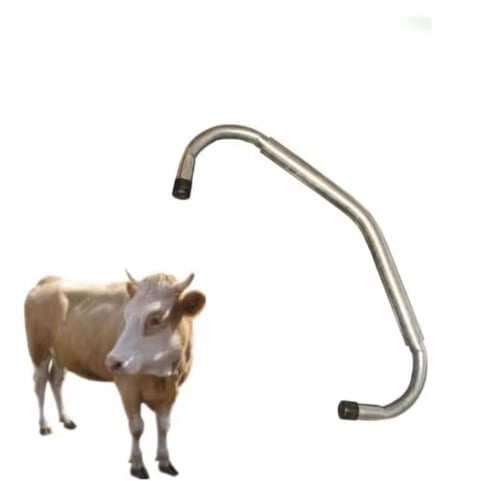عصا منع الركل للأبقار