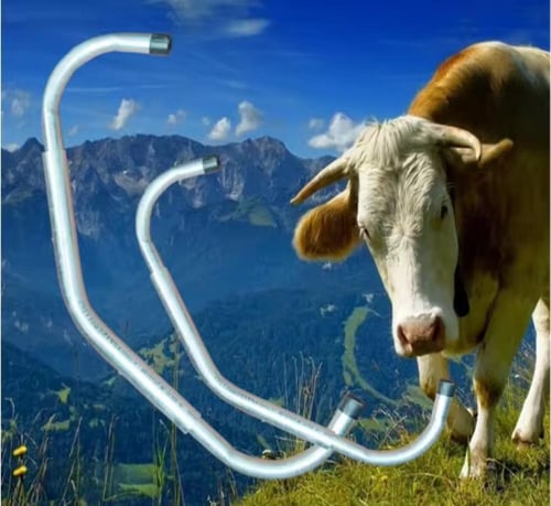 عصا منع الركل للأبقار