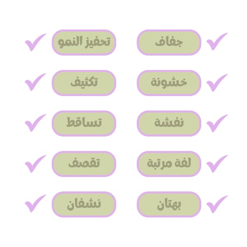 مجموعة كاميل روز لترطيب الشعر الكيرلي