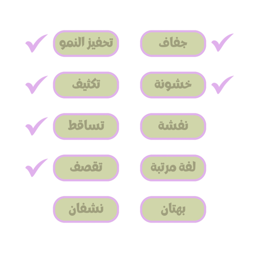 زيت الجوجوبا النقي للترطيب وحل التقصف