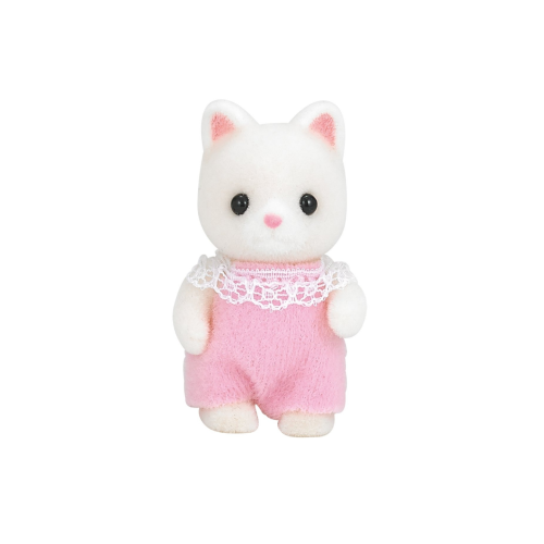 The cat's kitten
