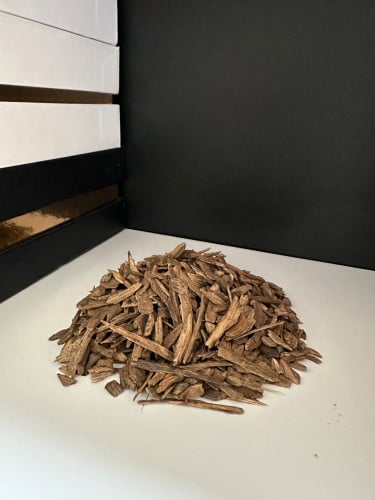 بيبي سيوفي فلبيني