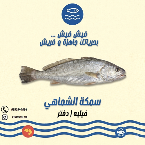 سمكة شماهي