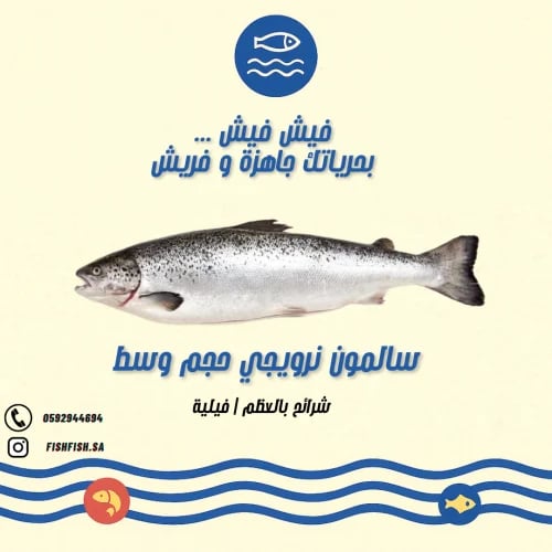 سمك سالمون نرويجي
