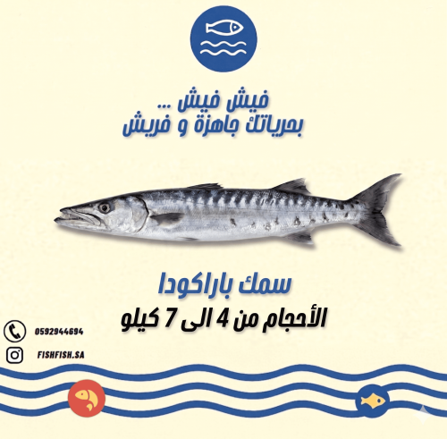 سمك باركودا - طازج