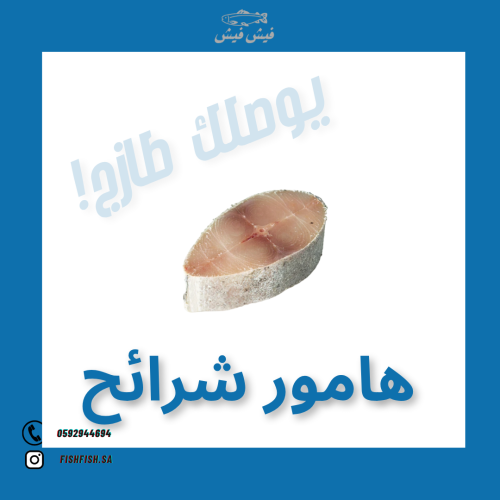 هامور شرائح