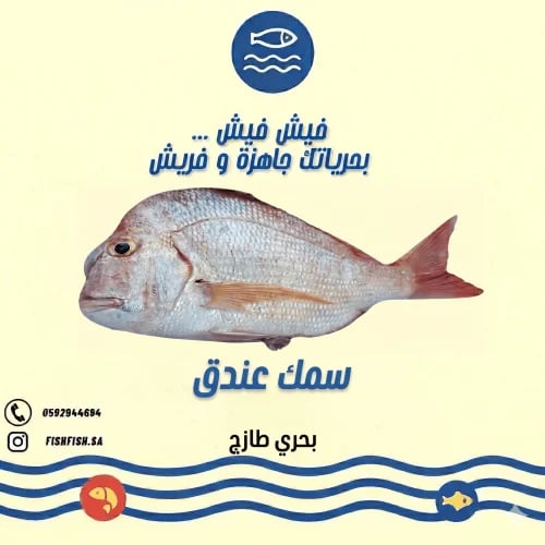سمك عندق