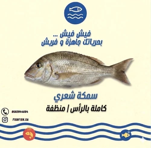 سمك شعري