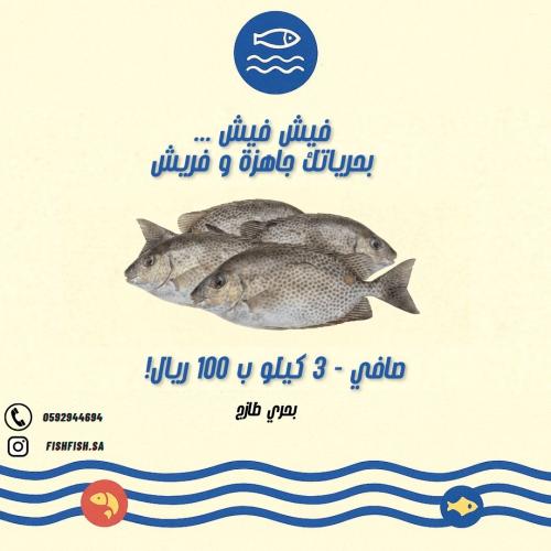صافي (سيجان ) - 4 كيلو بـ 100 ريال