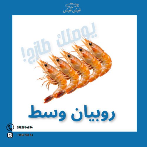 روبيان وسط