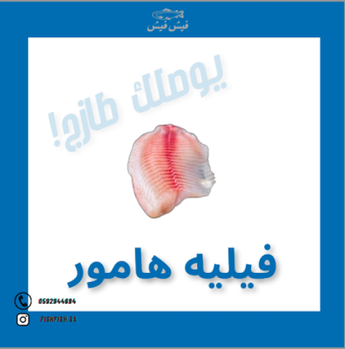 كيلو فيليه هامور - قطع فيليه هامور