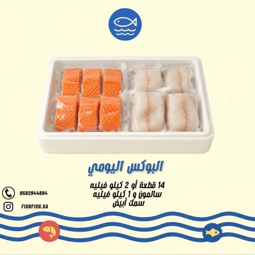 البوكس اليومي