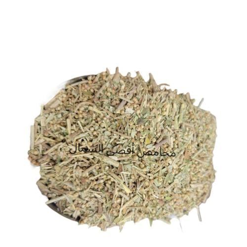 عشبة الشيبي الأفريقية