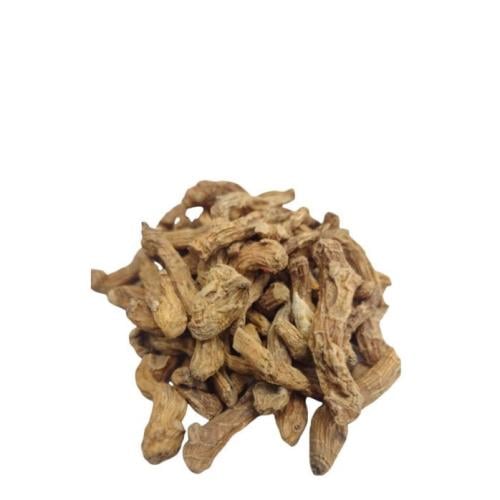عشبة رجل الأسد