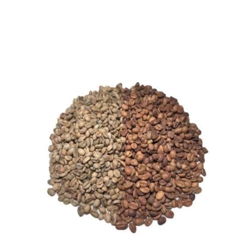 بن هرري الفانوس