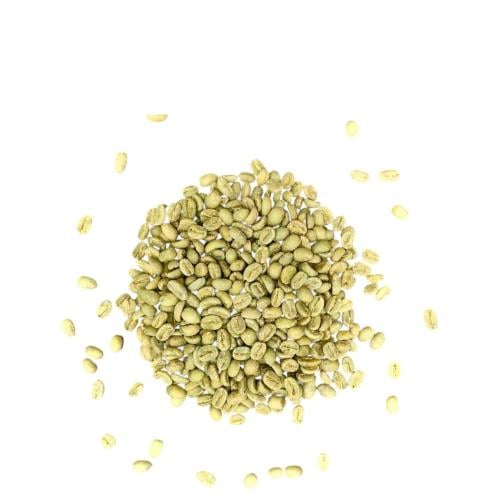 بن أم حبال المستنير