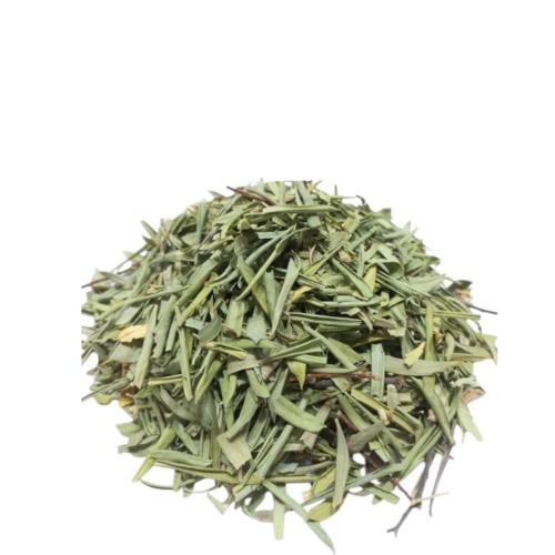 عشبة الزاز المغربية