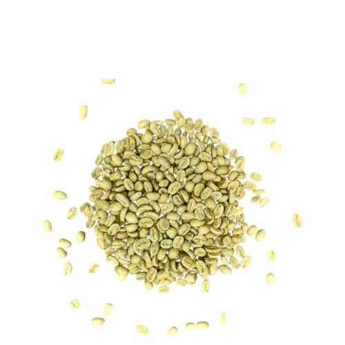 بن فرحانة الهندي