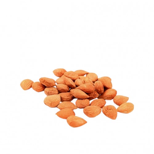 بذور المشمش