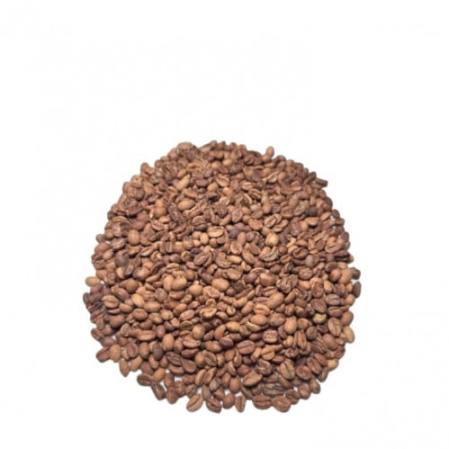 بن لقمتي باشنفر