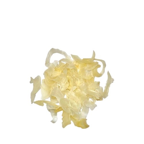 عشبة الكثيرة