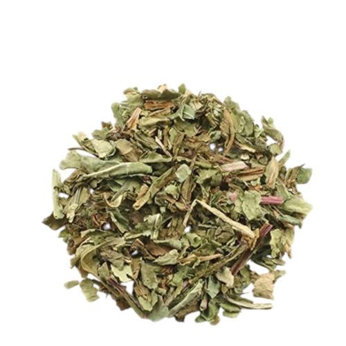 عشبة الهندباء