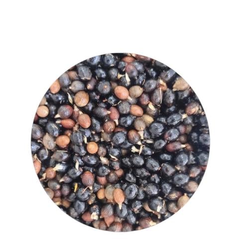 بذور البلميط المنشاري