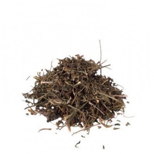 عشبة الشذاب