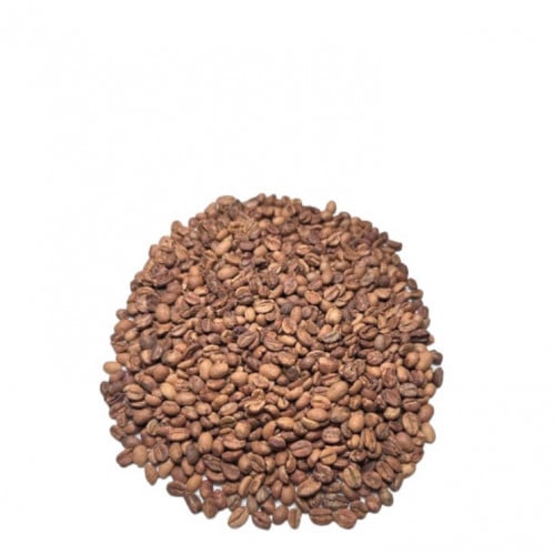 بن لقمتي باشنفر