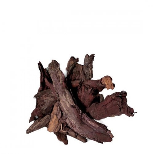 عشبة خوا جوا