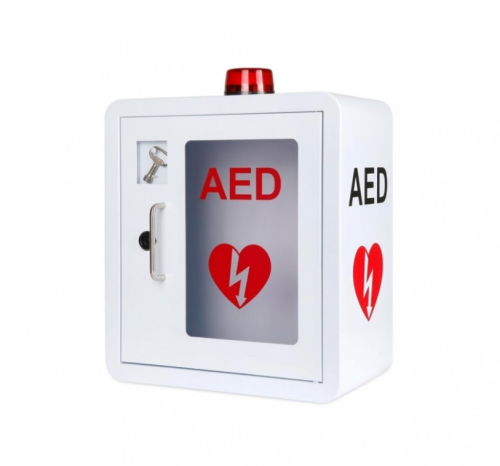 Wall-mounted box for storing a defibrillator