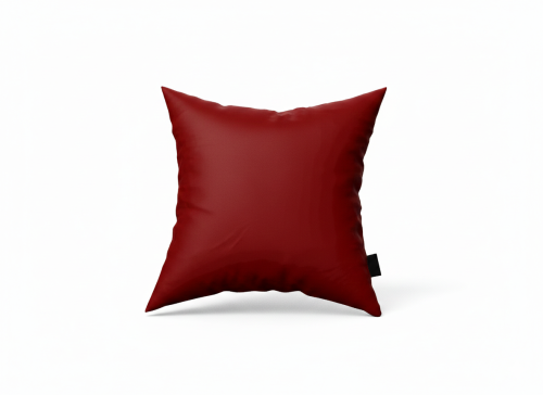 مخدة أحمر - P22