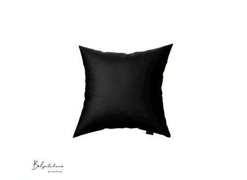 مخدة أسود - P23