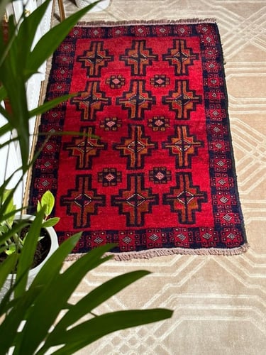 سرفلاي بلوشي