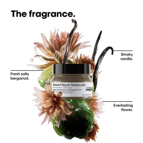 قناع إصلاح الشعر الجاف و التالف ابسلوت ريبير موليك...