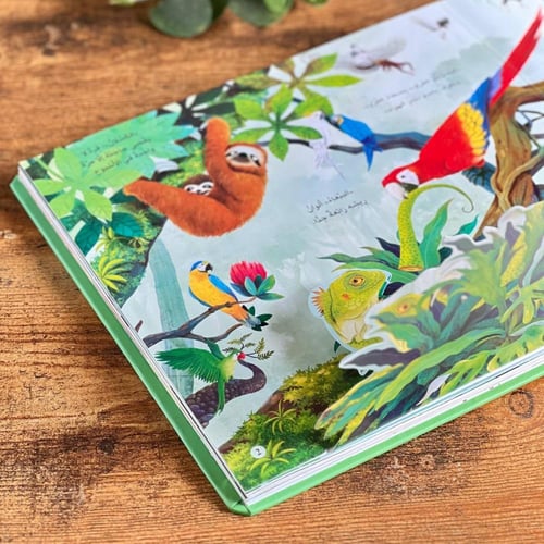 موسوعة تعليمية (الغابة)