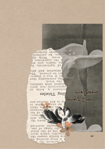 كتاب العام الجديد - من أنثى إلى أنثى