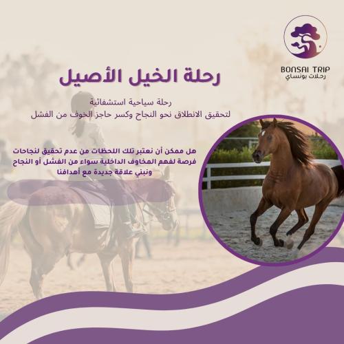 رحلة الخيل األصيل