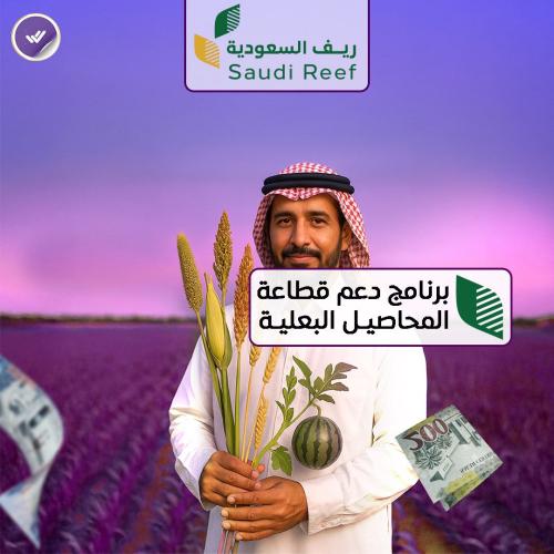تقديم في دعم المحاصيل البعلية