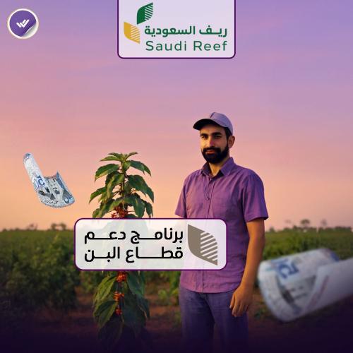 تقديم في دعم البن برنامج ريف