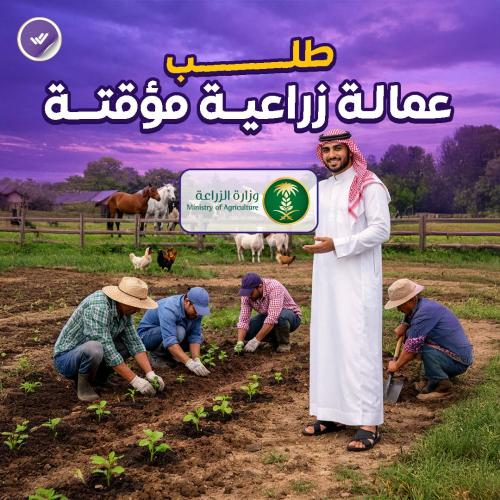 طلب عمالة زراعية مؤقتة (الزراعة)