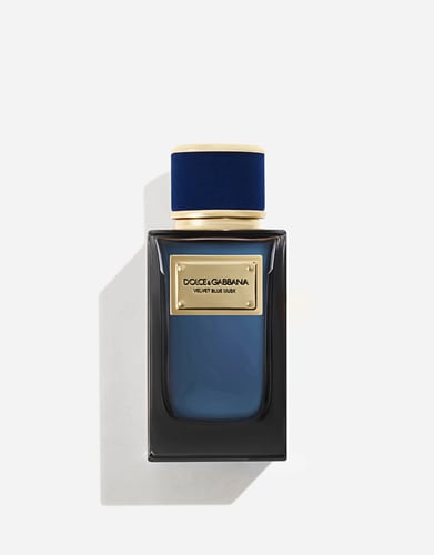 عطر دولتشي غابانا فيلفت بلو مسك او دو بارفيوم 100...
