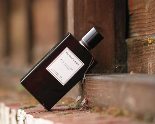 عطر فان كليف اند اربلز بويس دايموند او دو بارفيوم...